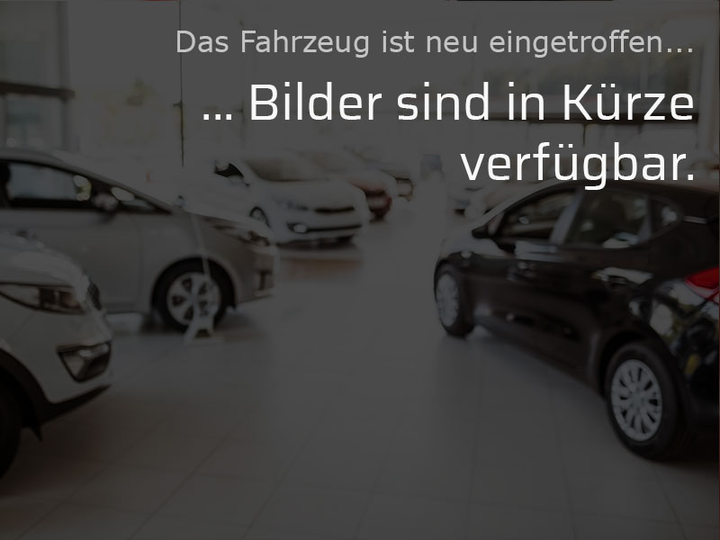 Skoda Octavia Tageszulassung